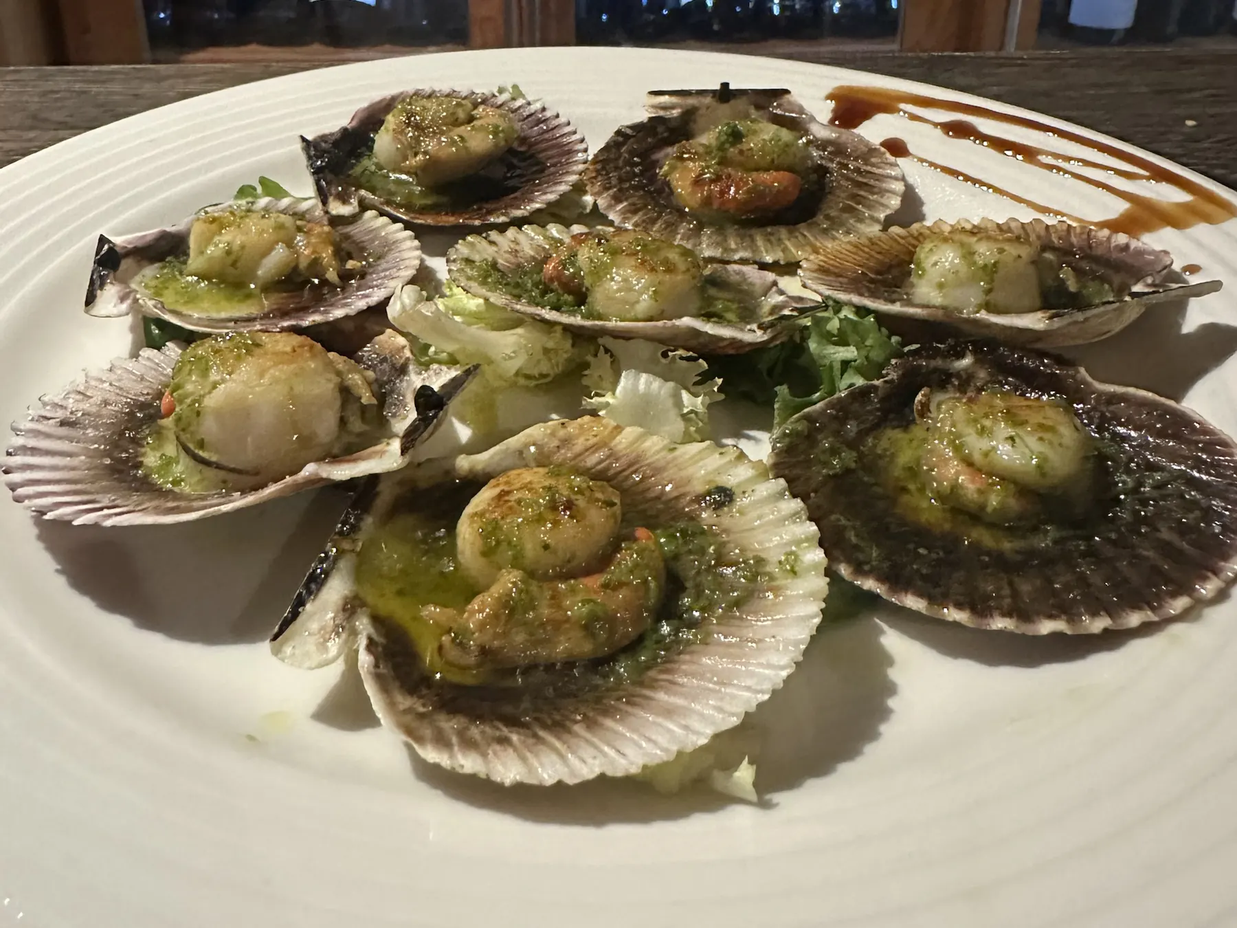 Ocho zamburiñas a la plancha en su concha, con ajada de ajo y perejil por encima, servidas en plato blanco con un cordón de reducción al lado